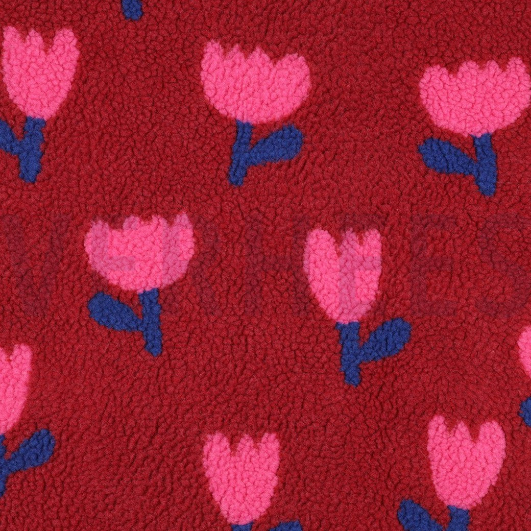 Teddy - Tulpen